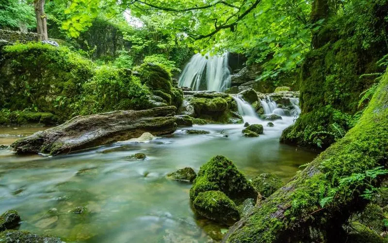 高精度自动化